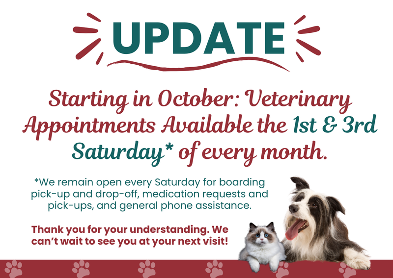 Carousel Slide 3: Saturday Veterinary Appointments