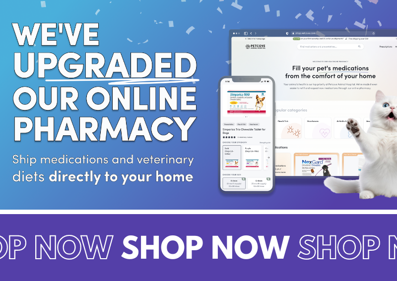 Carousel Slide 1: Browse our new and improved online pet pharmacy!